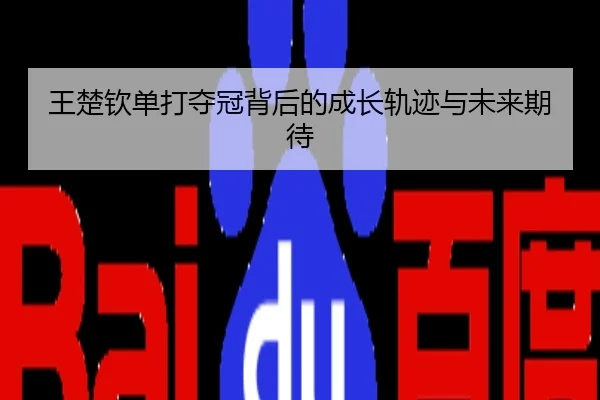 王楚钦单打夺冠背后的成长轨迹与未来期待