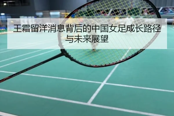王霜留洋消息背后的中国女足成长路径与未来展望
