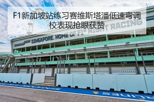 F1新加坡站练习赛维斯塔潘低速弯调校表现抢眼获赞